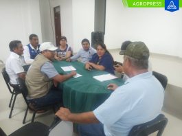 Gobierno Regional organiza IV Feria Regional Caprina en Piura