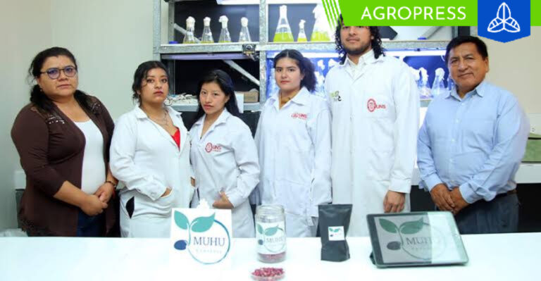 Proyecto de semillas de frijol resistentes al estrés hídrico triunfa en concurso de la PUCP