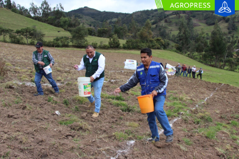 AGRORURAL realiza el lanzamiento de la Campaña de Siembra de Pastos y Forrajes en Huancabamba