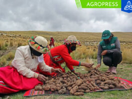 La producción agrícola y ganadera nacional disminuyó un 4.01%