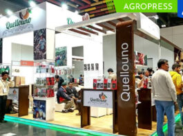 Expocafé: 26 asociaciones lograron compromisos comerciales