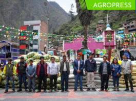 Inician entrega de sacos de fertilizantes a productores de Puno