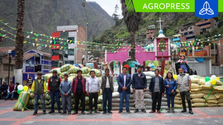 Inician entrega de sacos de fertilizantes a productores de Puno