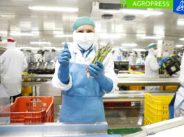 Produce asigna más de S/ 38 millones para fortalecer las cadenas productivas en 12 regiones
