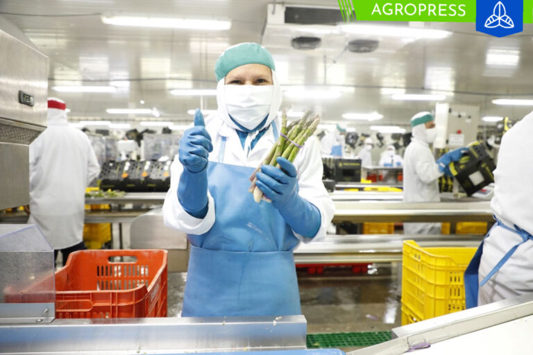 Produce asigna más de S/ 38 millones para fortalecer las cadenas productivas en 12 regiones
