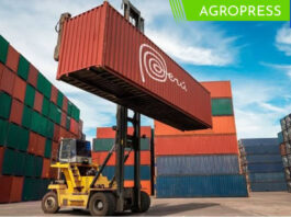 Exportaciones peruanas a Latinoamérica alcanzaron los US$ 7.406 millones