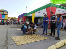 Piura: producción de esteras de carrizo disminuye en 60% con relación al año 2022