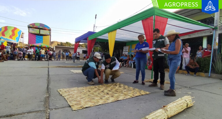 Piura: producción de esteras de carrizo disminuye en 60% con relación al año 2022
