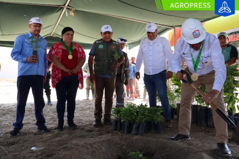 Gore Piura recuperará 34 mil hectáreas de cobertura vegetal en la región Piura