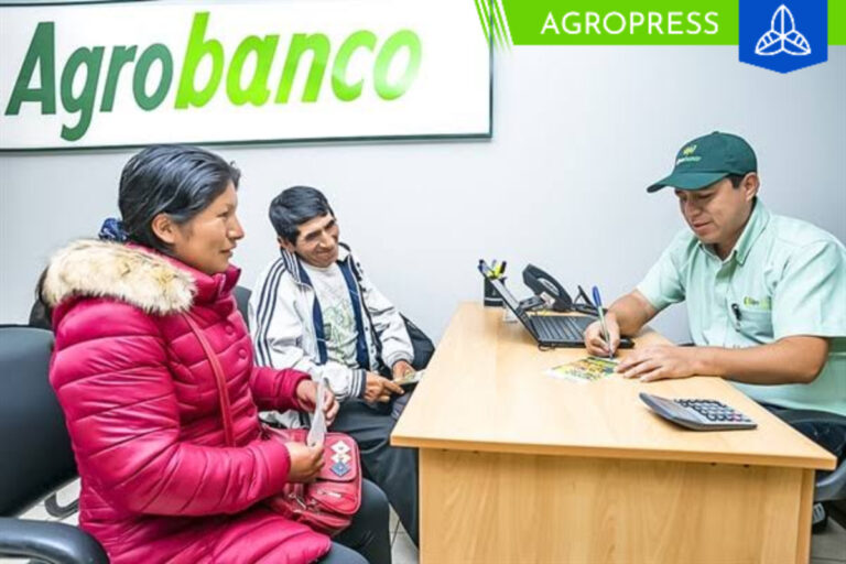 Agrobanco desembolsó S/ 628.9 millones en créditos a productores de la Macrorregión Sur