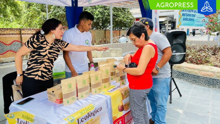 Municipalidad provincial de Piura impulsa feria de panela orgánica con la destacada participación de productores de Ayabaca