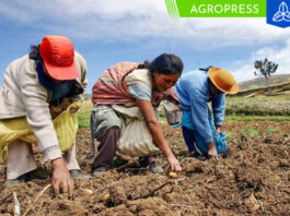 Más de 2 millones de agricultores se inscribieron en el Padrón de Productores Agrarios