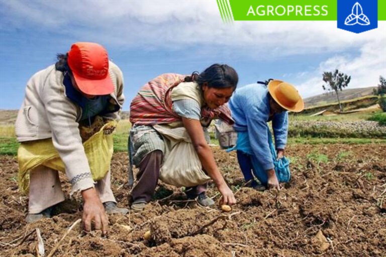 Más de 2 millones de agricultores se inscribieron en el Padrón de Productores Agrarios