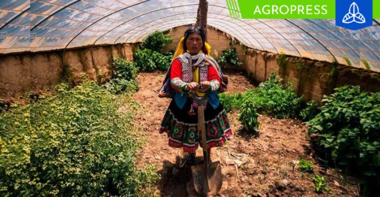 Midagri concluye la instalación de 150 fitotoldos en Arequipa
