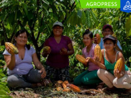 Empresas de cinco regiones son galardonadas con el sello nacional de Biocomercio Perú