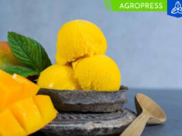 Cómo preparar helado de mango con sólo tres ingredientes