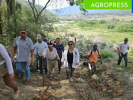 Suyo: más de mil agricultores piden al Midagri tomar acciones de prevención frente al FEN