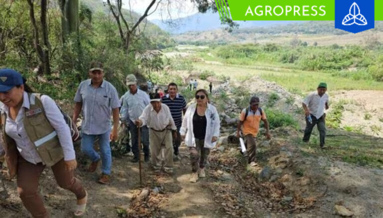 Suyo: más de mil agricultores piden al Midagri tomar acciones de prevención frente al FEN