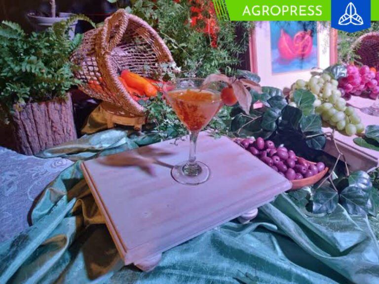Tacna presenta innovadores cócteles con mezcla de jugo de granada, pisco, ají amarillo y olivo