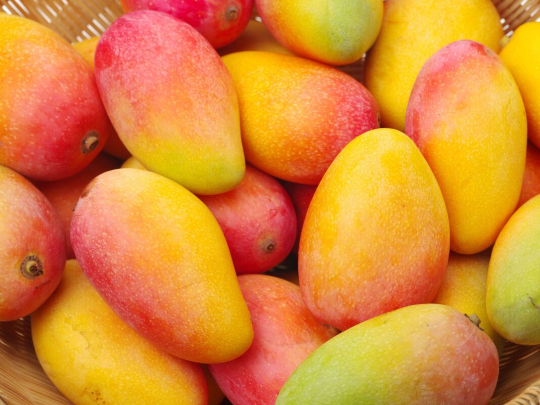 Mercado global de mango presenta escasez