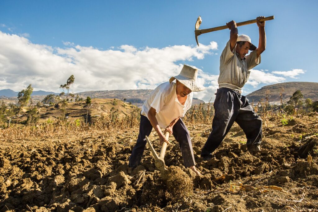 Seguro Agrícola Catastrófico 2023-2024: ¿cómo funciona?