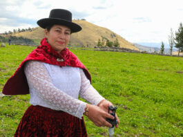 Aprueban transferencia de 100 millones de soles en beneficio de pequeños productores Aprueban transferencia de 100 millones de soles en beneficio de pequeños productores