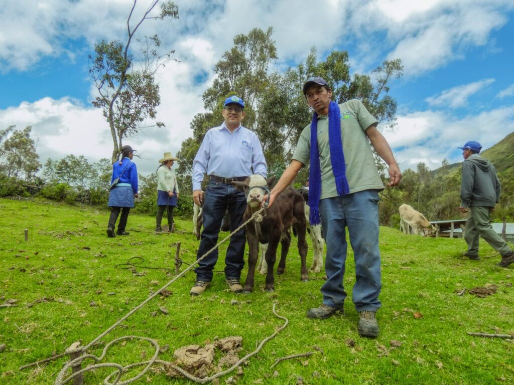 DRAP mejora la calidad genética del ganado vacuno en la región