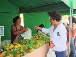 Realizarán feria “Riquezas Campesinas” este viernes 19 de abril en VDO Realizarán feria “Riquezas Campesinas” este viernes 19 de abril en VDO