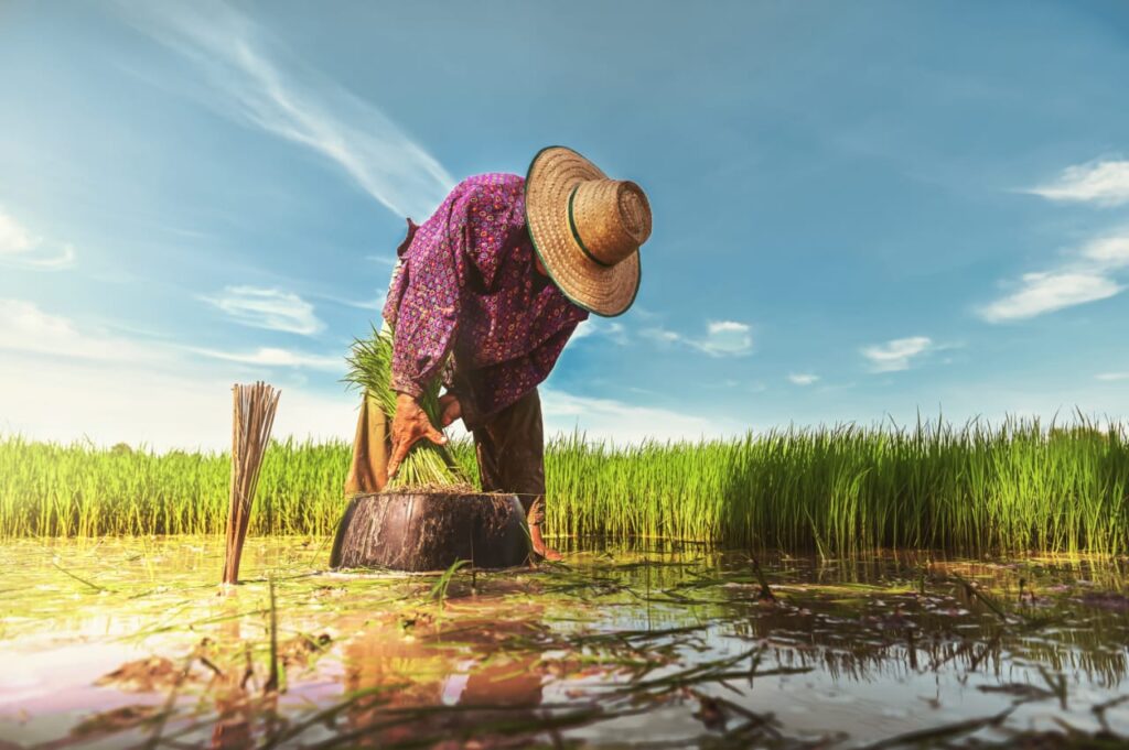 Más claro que el agua.