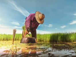 La ANA lanza «Más Claro que el Agua», ciclo de webinars sobre preservación y buen uso del recurso hídrico Más claro que el agua.