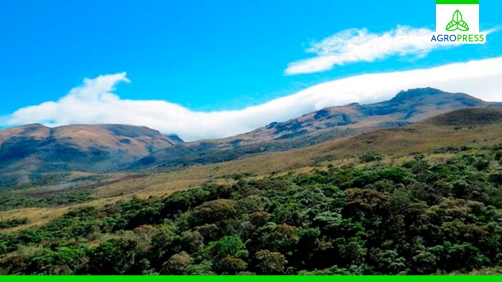 Perú desarrollará proyectos de conservación ambiental en el norte del país