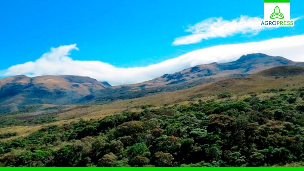Perú desarrollará proyectos de conservación ambiental en el norte del país