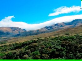 Perú desarrollará proyectos de conservación ambiental en el norte del país Perú desarrollará proyectos de conservación ambiental en el norte del país