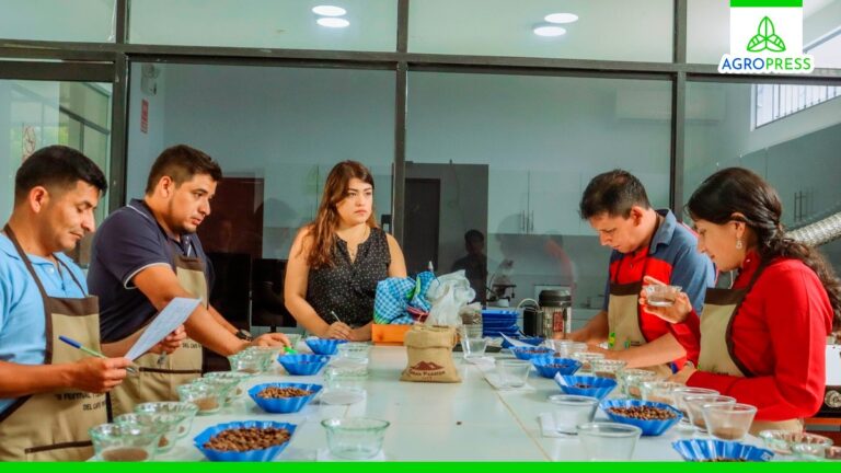 Piura: instalan laboratorio de control de calidad de café en la Dirección Regional de Agricultura