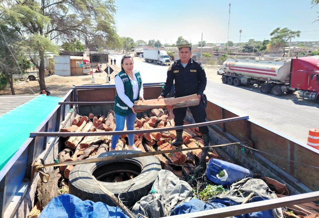 Piura: intervienen cargamento ilegal de leña de algarrobo