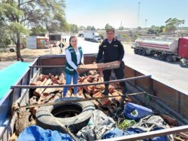 Piura: intervienen cargamento ilegal de leña de algarrobo Piura: intervienen cargamento ilegal de leña de algarrobo