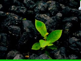 Piura tendrá la primera planta industrial de producción de biochar a nivel nacional Piura tendrá la primera planta industrial de producción de biochar a nivel nacional