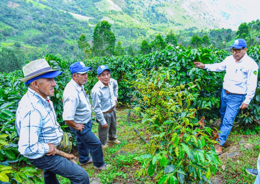 Celebrarán el Día del Campesino en ocho agencias agrarias de la región Piura