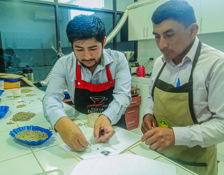 Dictan curso sobre control de calidad del café a productores de Huancabamba y Sapillica