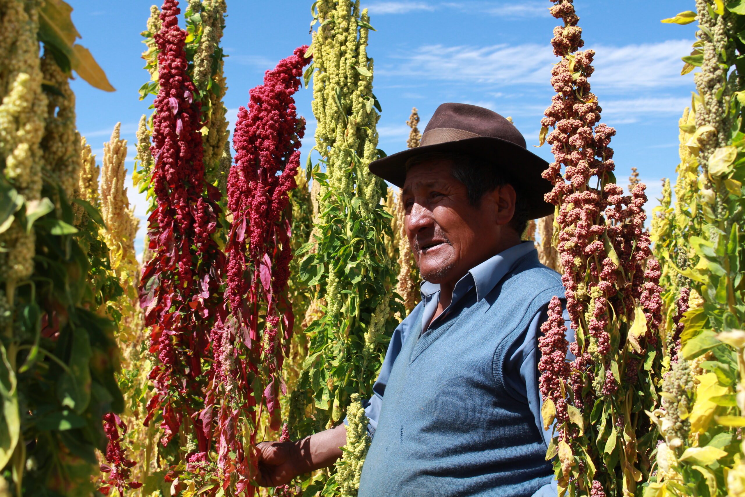 Sector agropecuario se recupera y crece 6.3% en el primer cuatrimestre del año