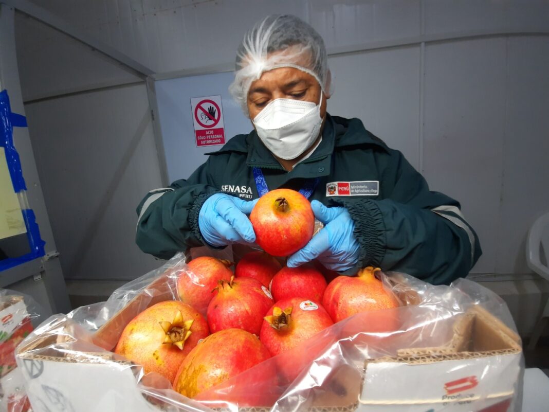 Las agroexportaciones del Perú a China podría alcanzar los 100 millones de dólares anuales.