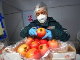 Delegación china llegará a Perú para concretar el acceso de nuevos productos agropecuarios al gigante asiático Las agroexportaciones del Perú a China podría alcanzar los 100 millones de dólares anuales.