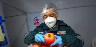 Delegación china llegará a Perú para concretar el acceso de nuevos productos agropecuarios al gigante asiático Las agroexportaciones del Perú a China podría alcanzar los 100 millones de dólares anuales.