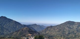 Morropón: reforestarán 440 mil hectáreas de bosque en Chalaco Morropón reforestarán 440 mil hectáreas de bosque en Chalaco