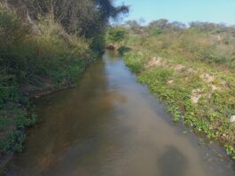 Tambogrande: mejorarán Canal 21.5 en sector Hualtaco Tambogrande mejorarán Canal 21.5 en sector Hualtaco