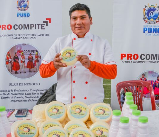 1300 plantas queseras artesanales participaron en el Concurso Macrorregional de Quesos 1300 plantas queseras artesanales participaron en el Concurso Macrorregional de Quesos