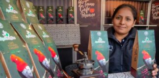 Festival Yo Tomo Café Peruano generó más de S/282 mil en ventas Festival Yo Tomo Café Peruano generó más de S/282 mil en ventas
