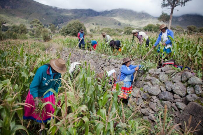 Más de un millón de productores se beneficiarán con proyectos de inversión