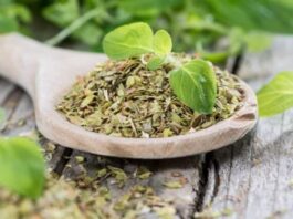 Perú alcanza US$11 millones en exportación de orégano Perú alcanza US$11 millones en exportación de orégano