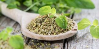 Perú alcanza US$11 millones en exportación de orégano Perú alcanza US$11 millones en exportación de orégano